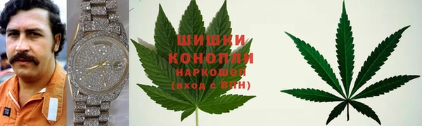 первитин Богданович