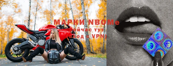 гашик Белоозёрский