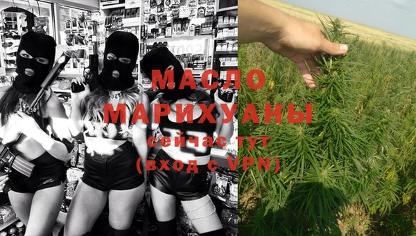 тгк Богородицк