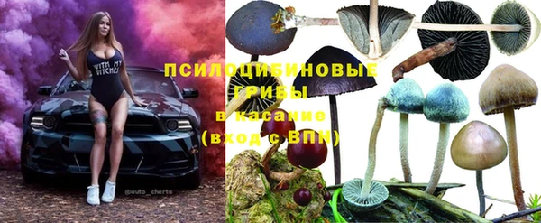 тгк Богородицк