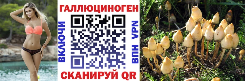 Галлюциногенные грибы Magic Shrooms  KRAKEN онион  Верхнеуральск 